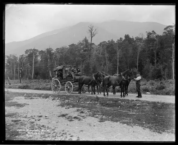 Mount Murchison, Buller Road.