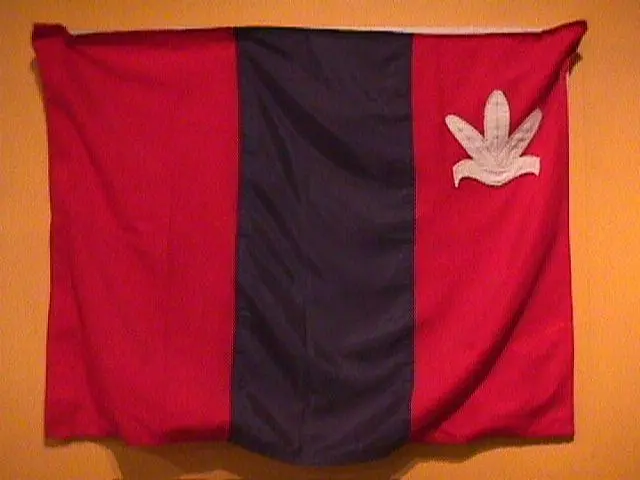 Flag, Parihaka