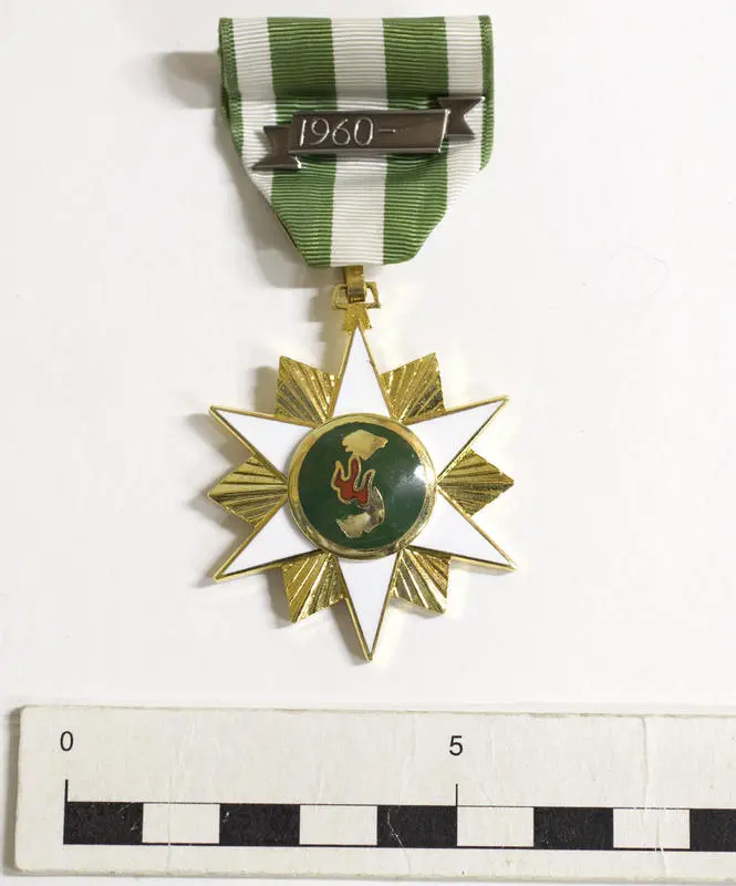Medal, South Vietnam Campaign