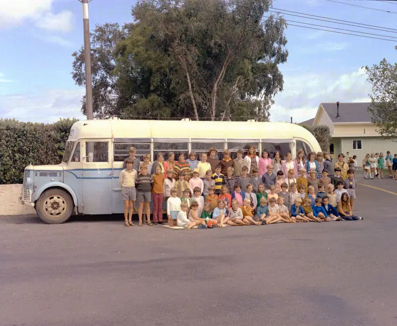 Mangorei Road School Bus, Group