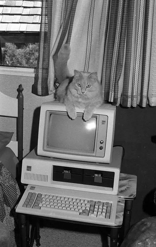 Waterfront Credit Union, Cat