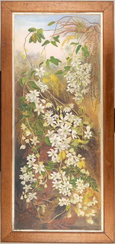 Untitled (Clematis)