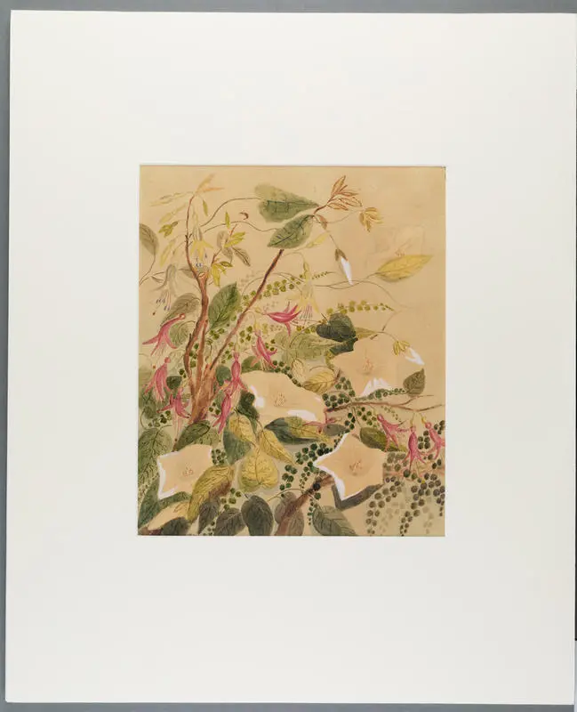 Untitled (Fuchsia and Sophora)