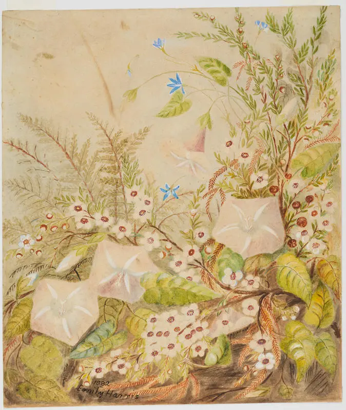 Untitled (Native Flowers)