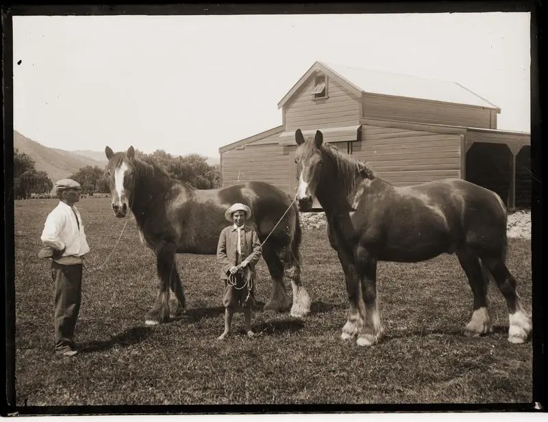 Man and lad each holding a Clydesdale by rope. W. Scott (?) with Diamond & Punch