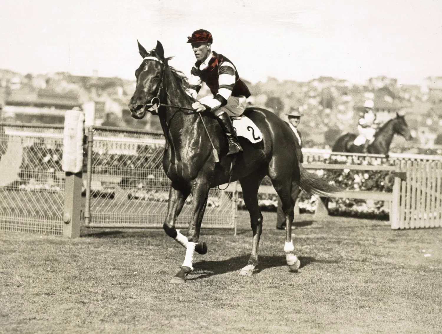 Photographs - Phar Lap, A.J.C. Derby, Randwick, New South Wales, Framed, 1929