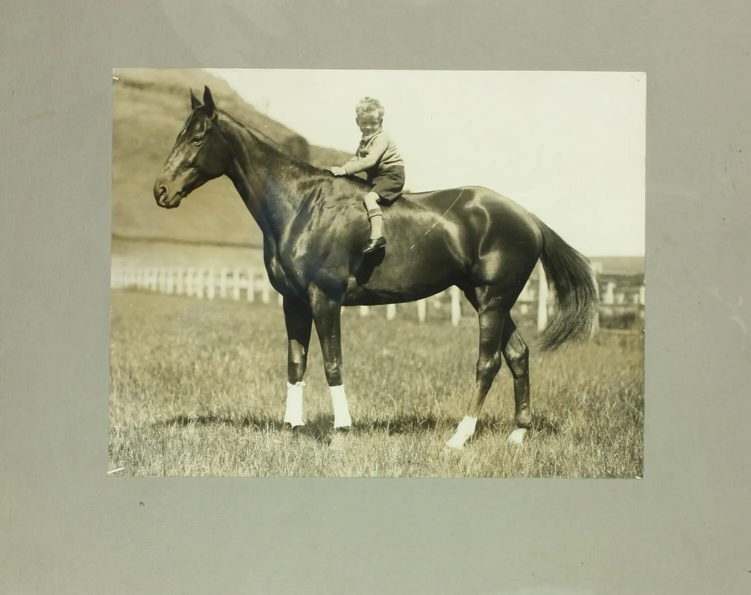 Photograph - Phar Lap & Gerald Telford, 1931