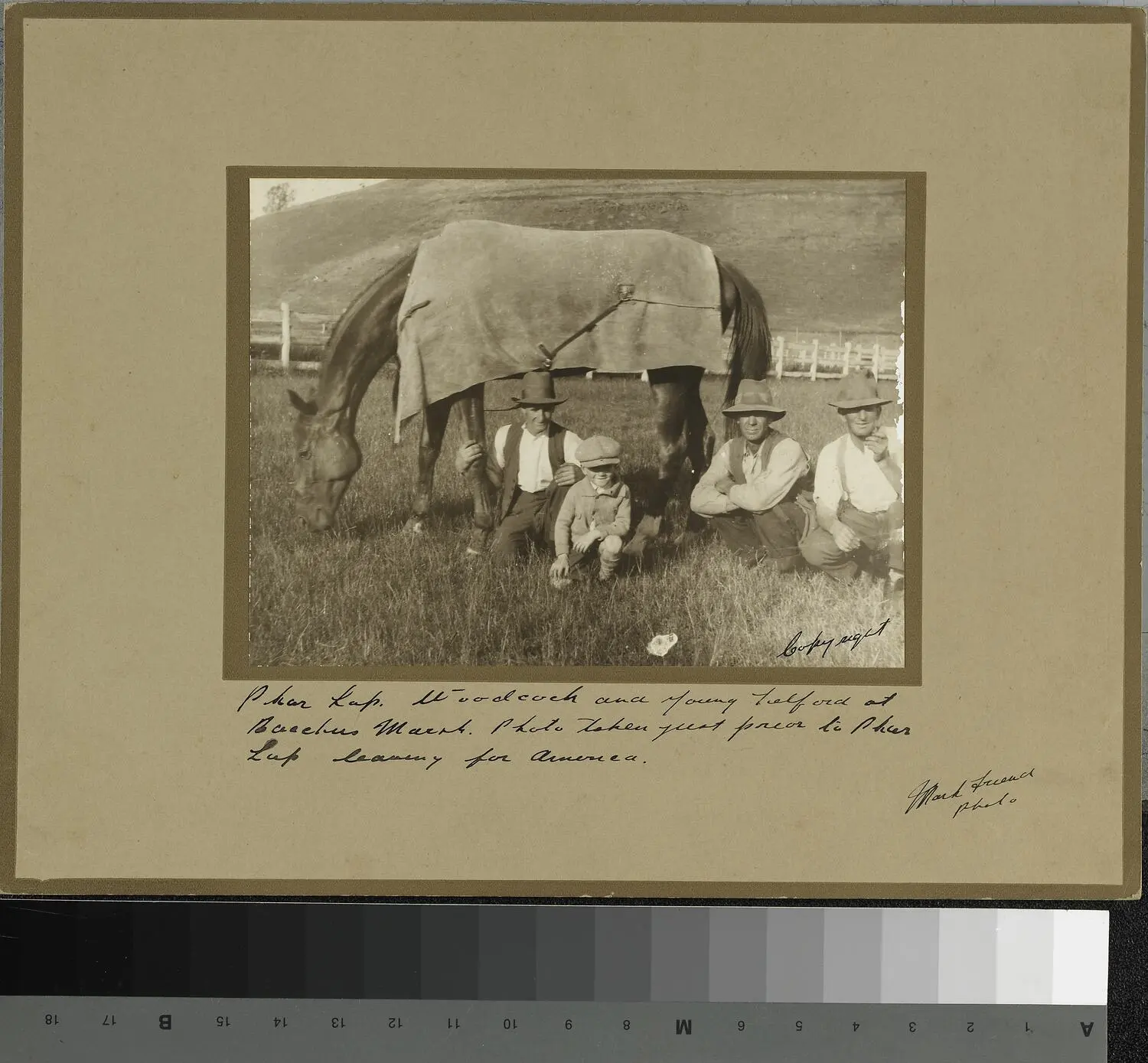 Photograph - Phar Lap, Tommy Woodcock & Gerald Telford, 1931