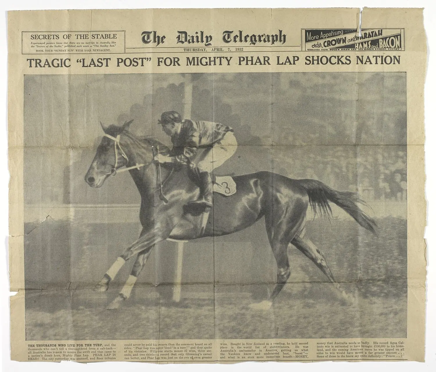 Newspaper Cutting - Daily Telegraph, Tragic Last Post for Mighty Phar Lap, 07 Apr 1932