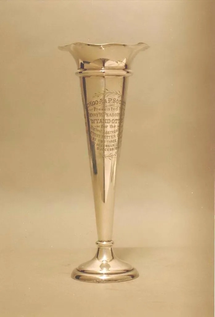Trophy - Silver Vase