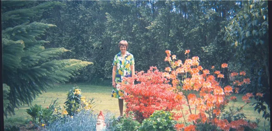 Kingsbury Collection 1972-1973, garden