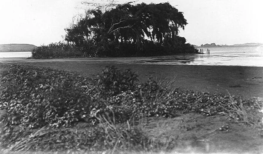 Waipata artificial island, Lake Horowhenua