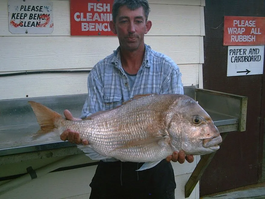 Now that is a big snapper!