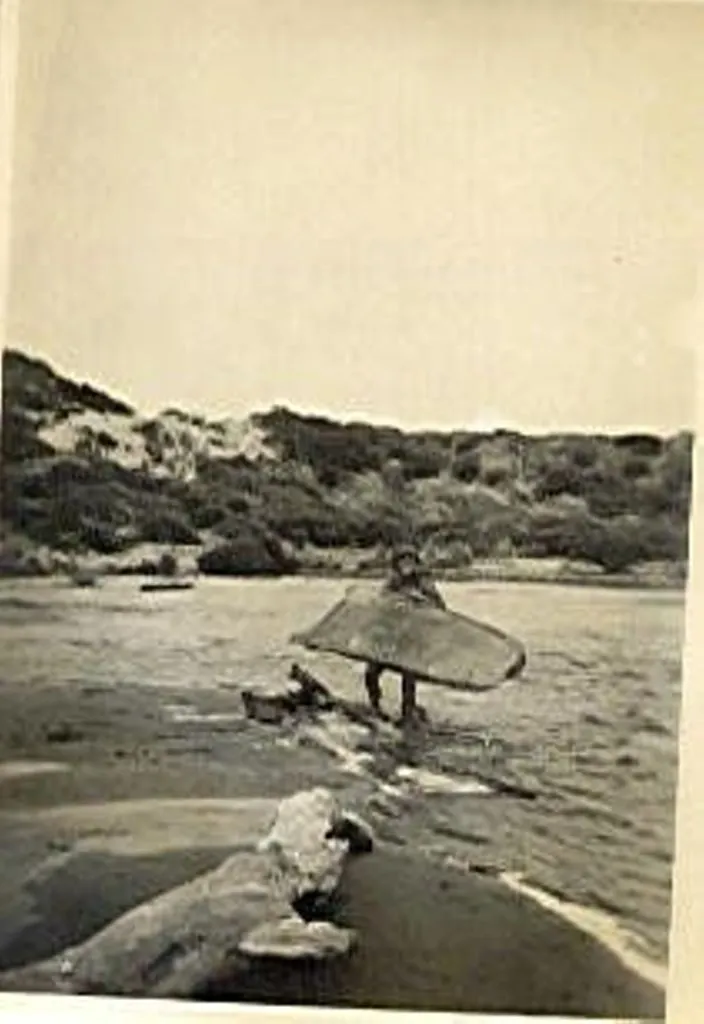 Whitbaiting at Hokio Beach