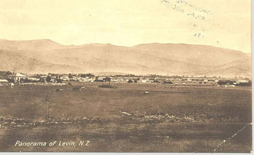 Postcard Panorama of Early Levin