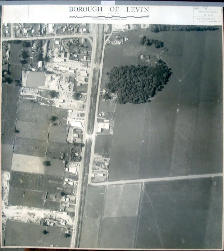 Aerial survey photograph (Levin)