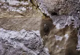 New Zealand, rock formation at geothermal area in Rotorua