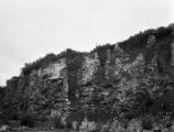 Taranaki (New Zealand), limestone quarry between Te Kuiti and Mokau