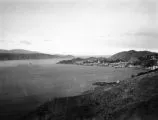 Wellington (New Zealand), Port Nicholson