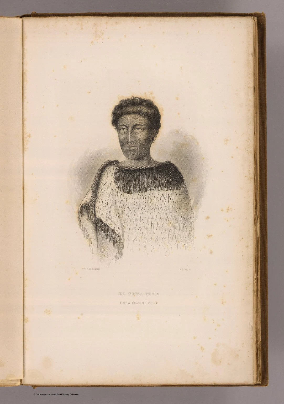 Ko-Towa-Towa, a New Zealand chief. Drawn by A.T. Agate. V. Balch sc. (Philadelphia: Lea & Blanchard. 1845)