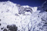 New Zealand, Franz Josef Glacier in Westland Tai Poutini National Park