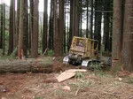 Cat skidding--Soper-Wheeler Company
