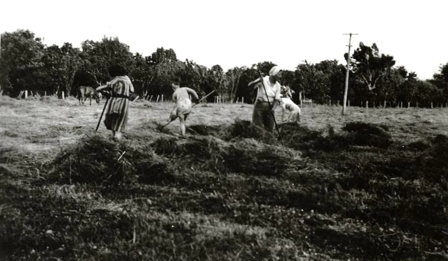 Women Working on Farm during World War II, Palmerston North