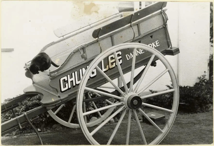 Chung Lee's Cart