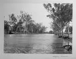 [Hoods] Lagoon, Clermont, [Queensland, c1907 to 1908]