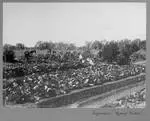 Vegetables, Rodney Downs, [Queensland, c1907 to 1908]