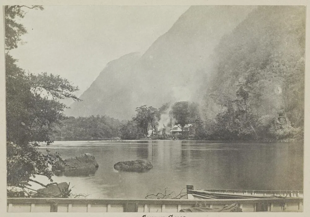 Arthur River, Milford Sound, looking up from boat landing
