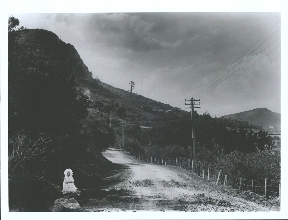 Junction Road, upper Junction