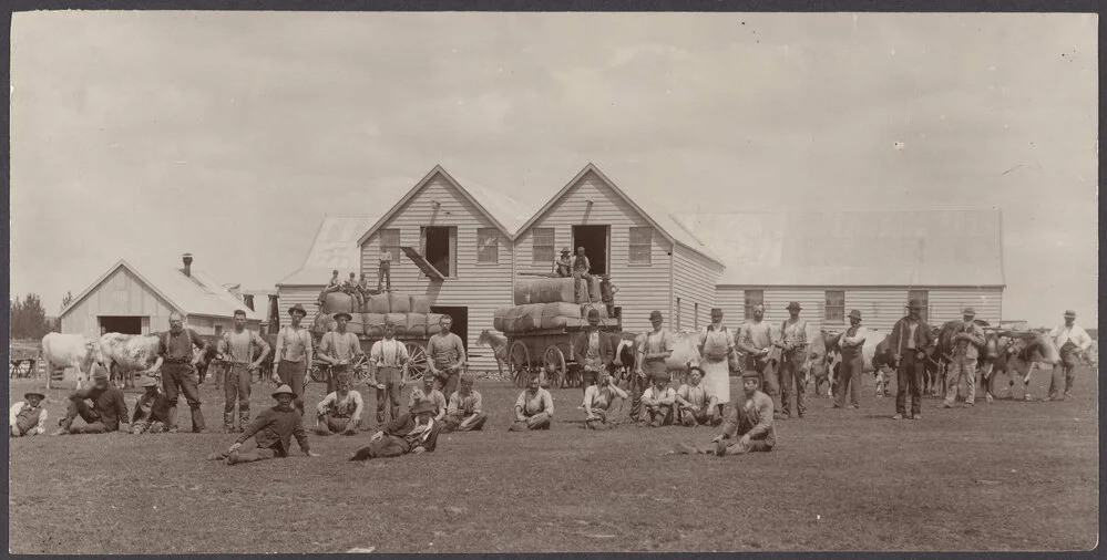 Shearing gang at Greenfield Estate, South Otago