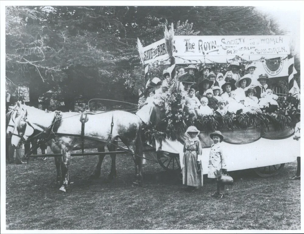 The Royal Society for the Health of Women & Children, Dunedin