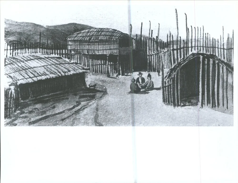 Native Houses, Port Nicholson (Wellington) N.Z.