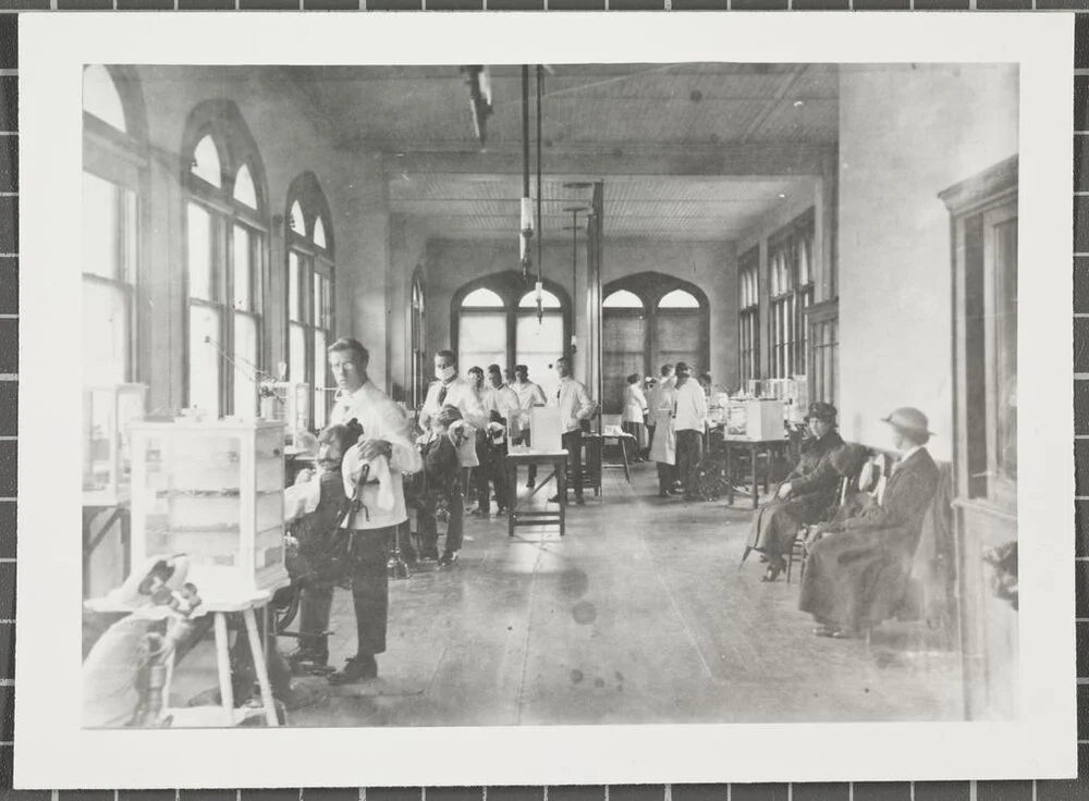 First Dental School, operative department