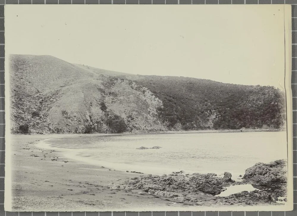 Oihi, Bay of Islands