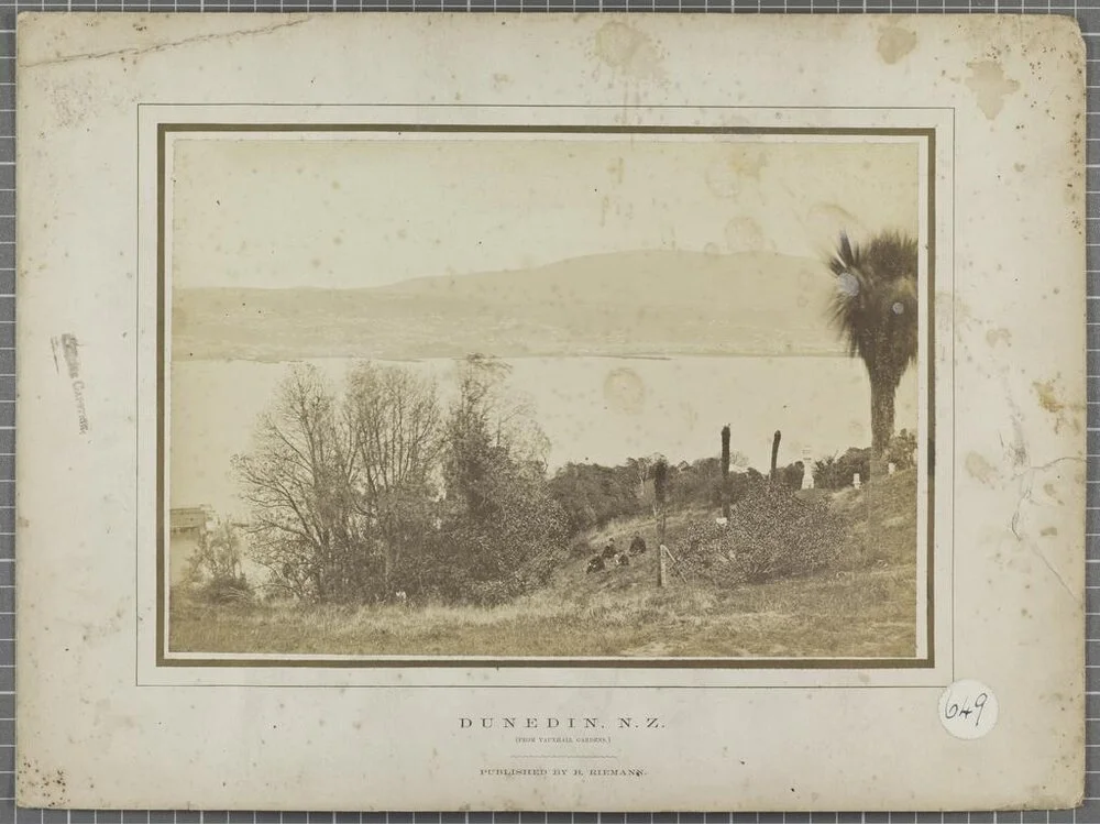 Dunedin, N.Z. from Vauxhall Gardens