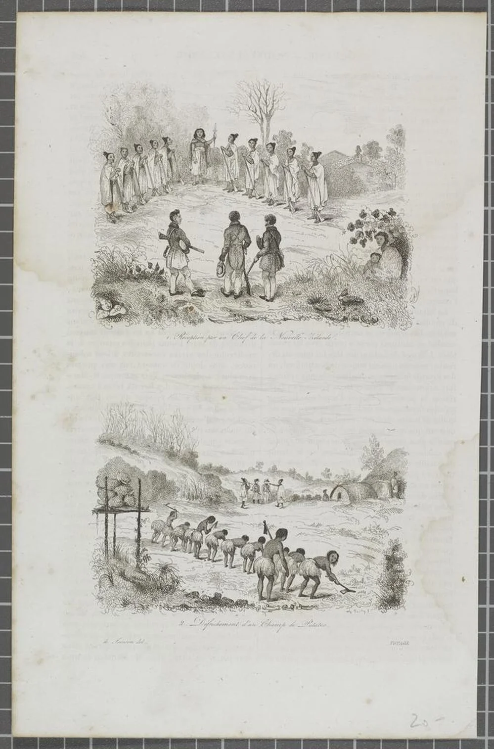 1. Réception par un chef de la Nouvelle-Zélande. Alp. Boilly s. 2. Défrichement d’un champ de patates. Alp. Boilly s. de Sainson del. Voyage [Pittoresque]