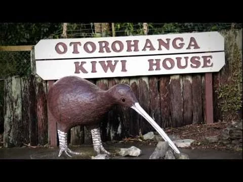 Ōtorohanga, the kiwi town - Roadside Stories