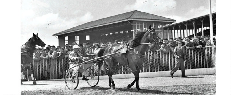 Sport. Horse Racing Trotting. Harness Racing, Captain Sandy.
