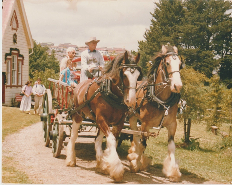 People in a wagon pulled by two Clydesdale horses outside the Pakuranga School