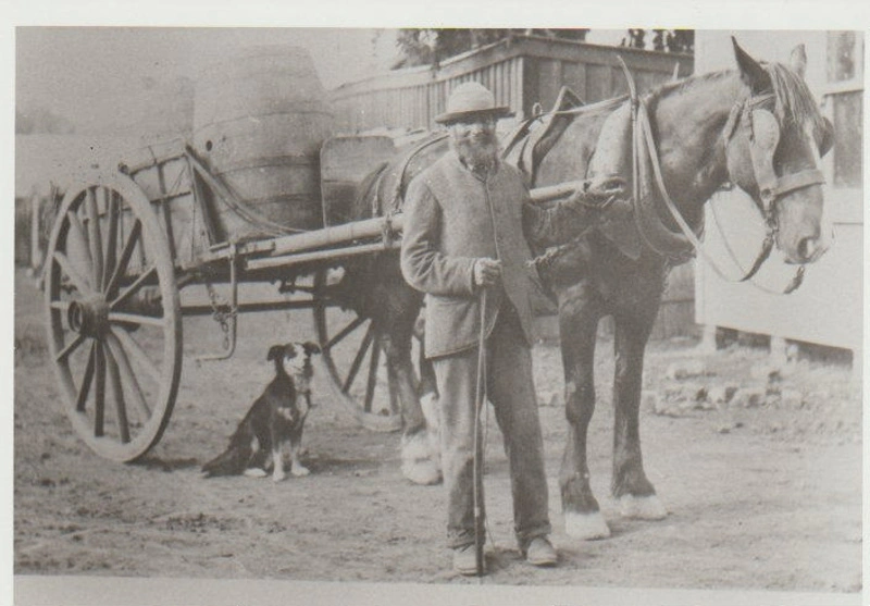 Man with dray 1900