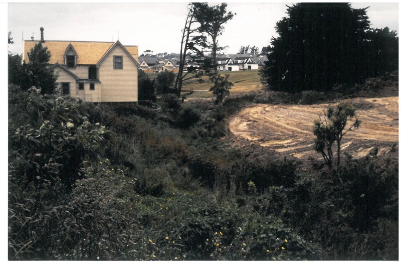Lloyd Elsmore Park development