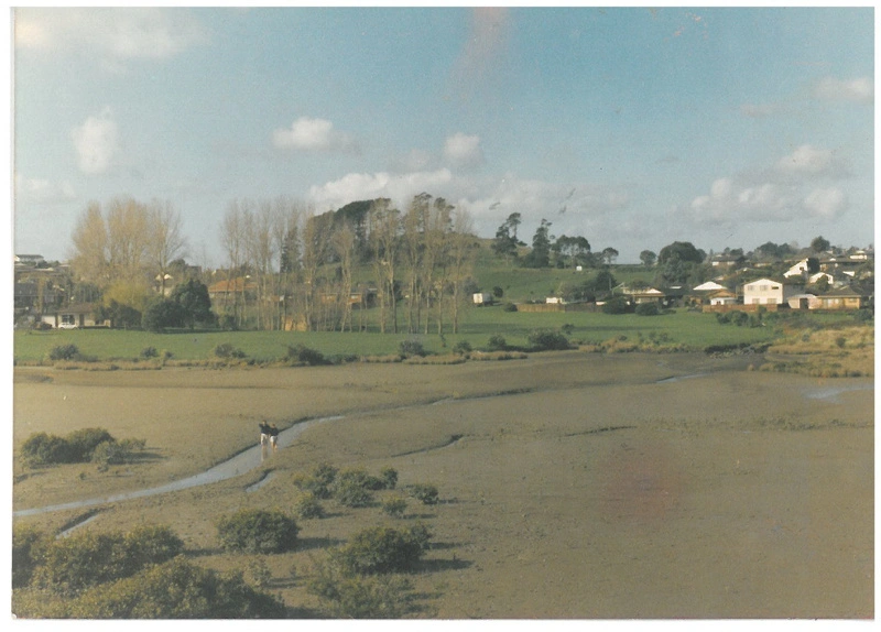 Wakaaranga Creek