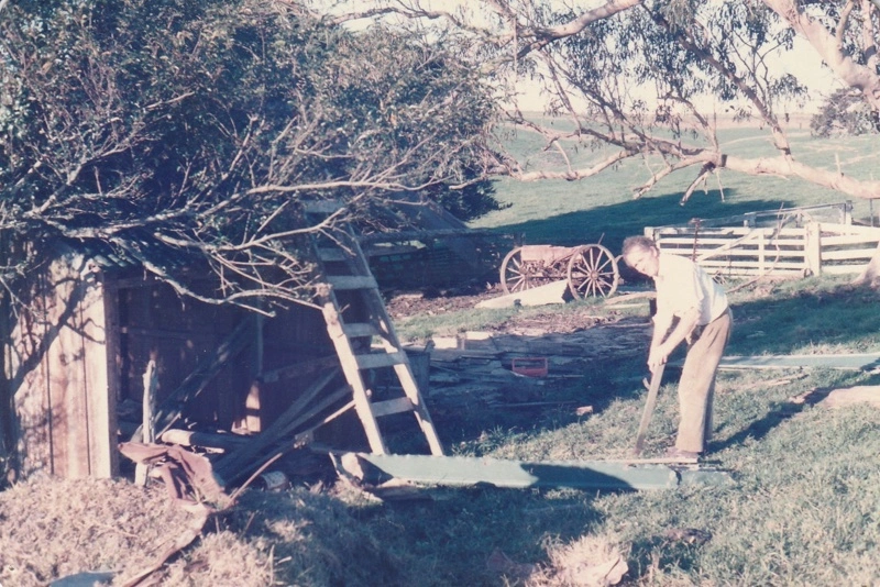Somerville's cowshed on the Somerville farm being demolished by A la Roche, John Litten and David Edwards.