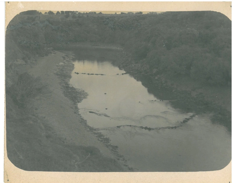 Eel traps in a creek in Mangere