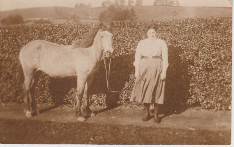 A postcard from Elsie Bell written to Bessie Ferguson.