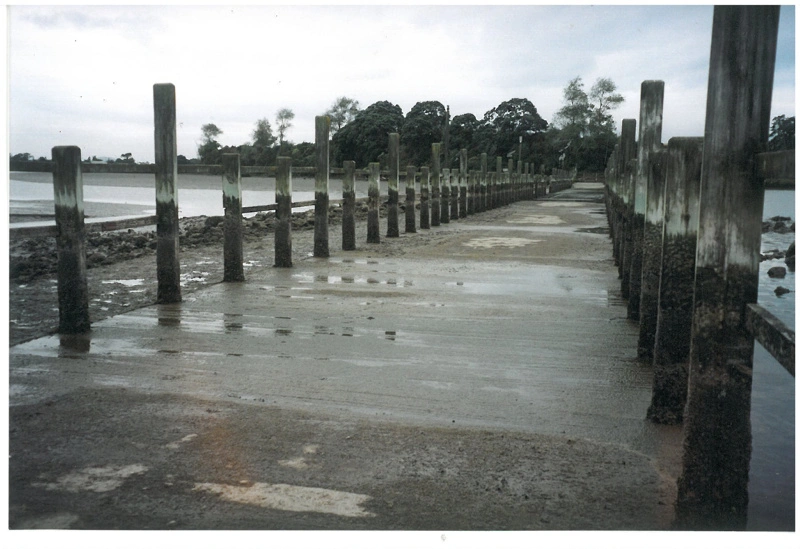 A dam on Otara Creek by the Tamaki River