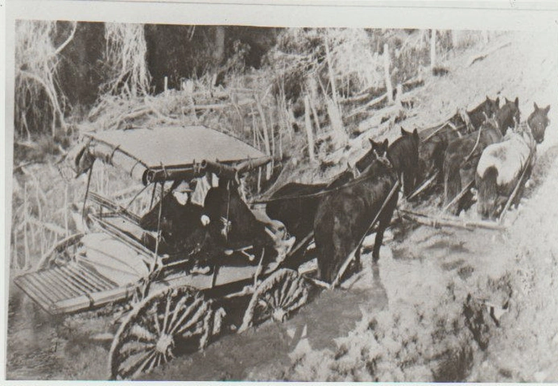 Horse drawn carriage stuck in the mud.